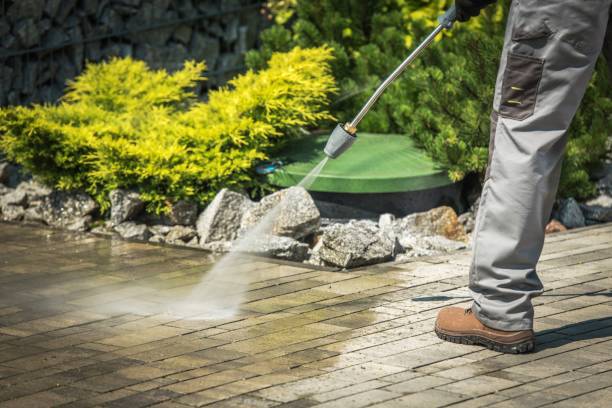 Best Driveway Pressure Washing  in Mustang Ridge, TX